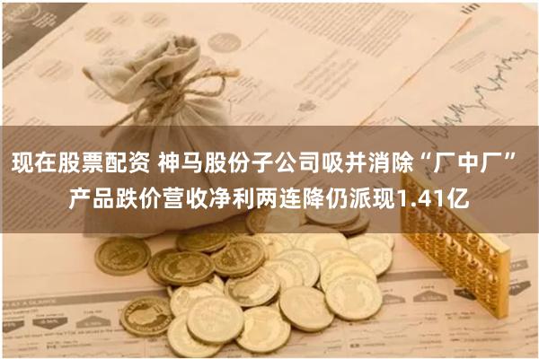 现在股票配资 神马股份子公司吸并消除“厂中厂” 产品跌价营收净利两连降仍派现1.41亿
