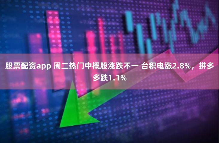 股票配资app 周二热门中概股涨跌不一 台积电涨2.8%，拼多多跌1.1%