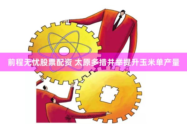 前程无忧股票配资 太原多措并举提升玉米单产量