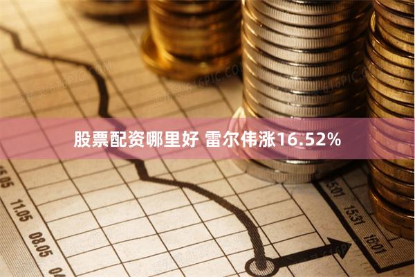 股票配资哪里好 雷尔伟涨16.52%