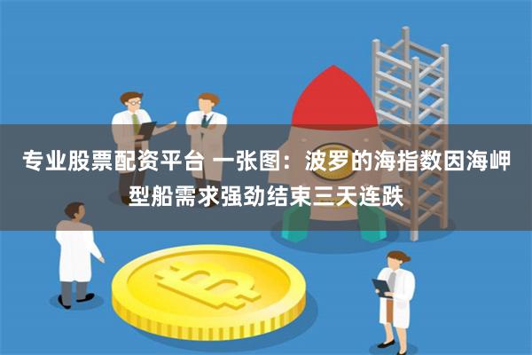 专业股票配资平台 一张图：波罗的海指数因海岬型船需求强劲结束三天连跌