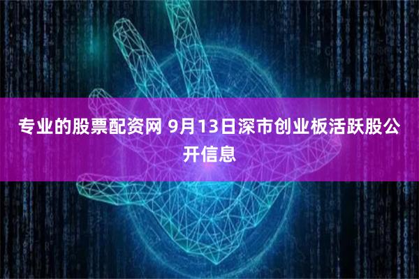 专业的股票配资网 9月13日深市创业板活跃股公开信息