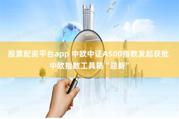 股票配资平台app 中欧中证A500指数发起获批 中欧指数工具箱“迎新”
