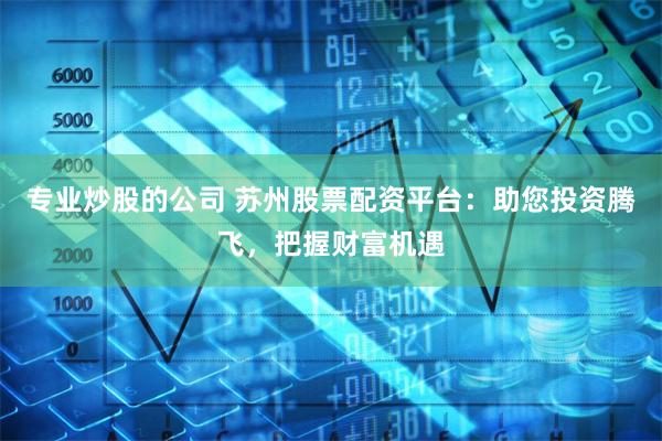 专业炒股的公司 苏州股票配资平台：助您投资腾飞，把握财富机遇