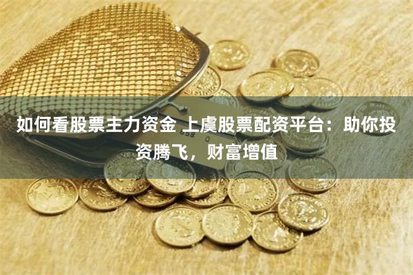 如何看股票主力资金 上虞股票配资平台：助你投资腾飞，财富增值